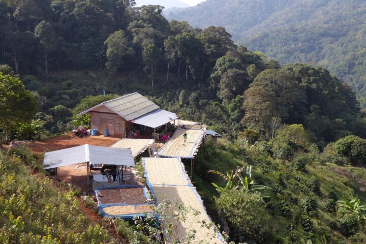 Thailändischer Röstkaffee – frisch gemahlene Kaffeebohnen aus Thailand, aromatisch und vollmundig, ganze Bohne 00
