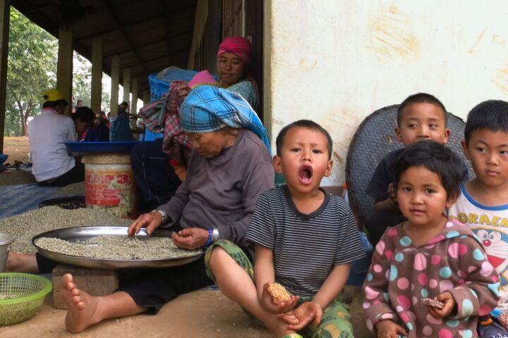 Thailändischer Röstkaffee – frisch gemahlene Kaffeebohnen aus Thailand, aromatisch und vollmundig, ganze Bohne 00